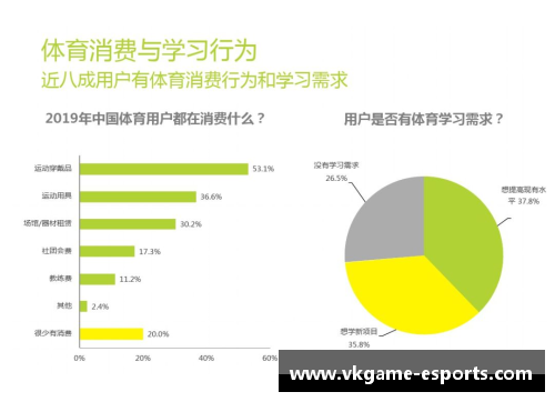 多伦多体育明星的数量和他们在全球体育中的影响力分析