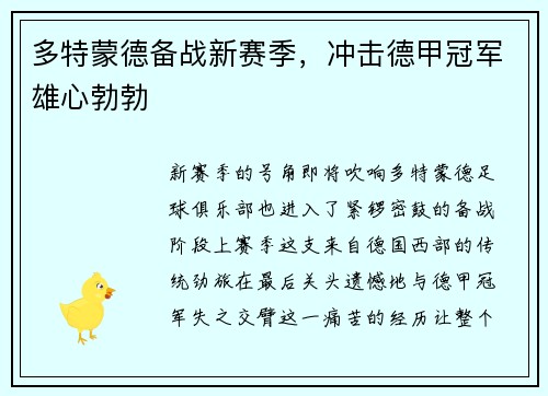 多特蒙德备战新赛季，冲击德甲冠军雄心勃勃
